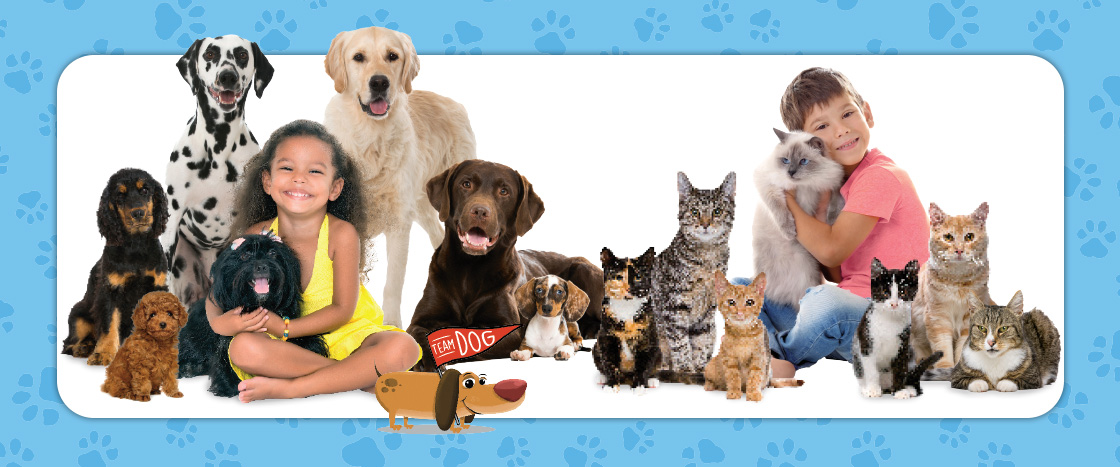 Image of a kid with variety of dogs and kid with variety of cats